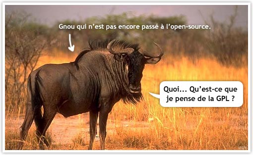 Gnou et open-source