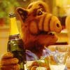 Alf
